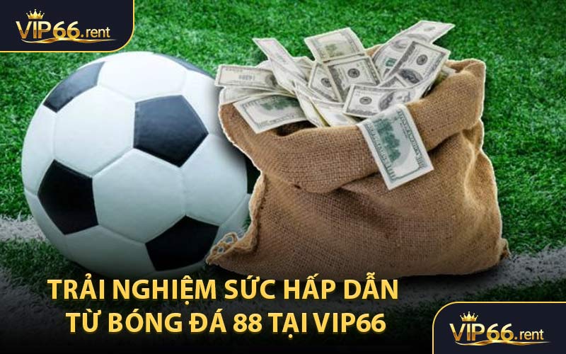 Trải nghiệm sức hấp dẫn từ Bóng Đá 88 tại VIP66